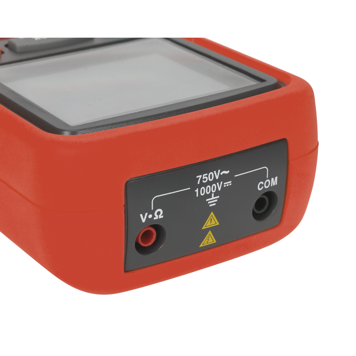 Digital Insulation Tester | TA319