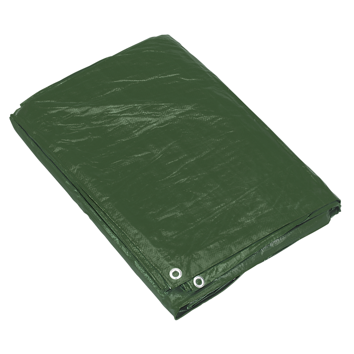 Tarpaulin 6.10 x 12.19m - Green | TARP2040G