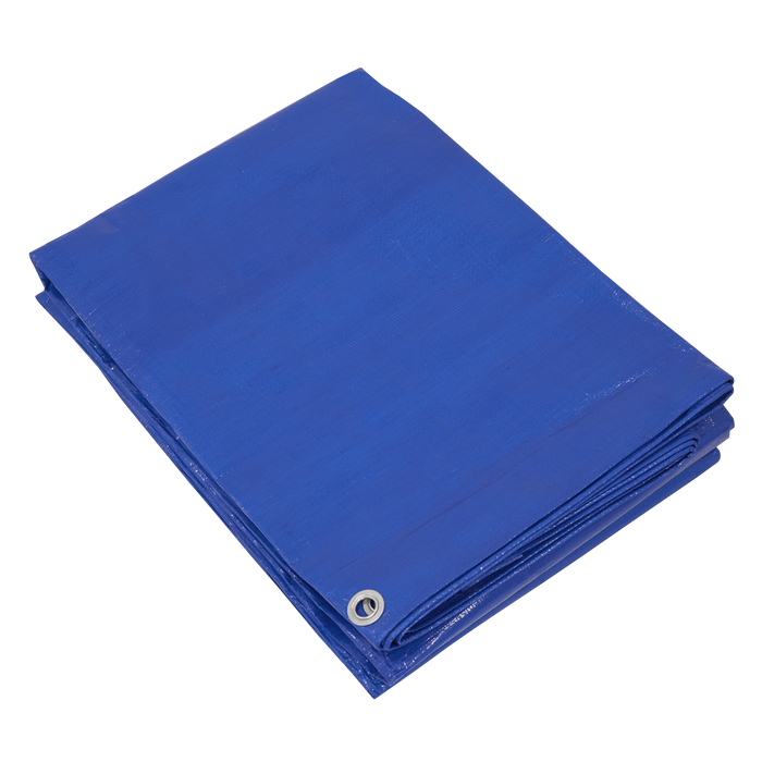 Lightweight PE Tarpaulin 5.49 x 7.32m - Blue | TARP5070