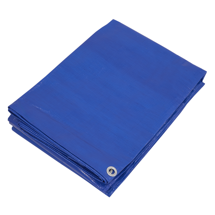 Lightweight PE Tarpaulin 5.49 x 7.32m - Blue | TARP5070