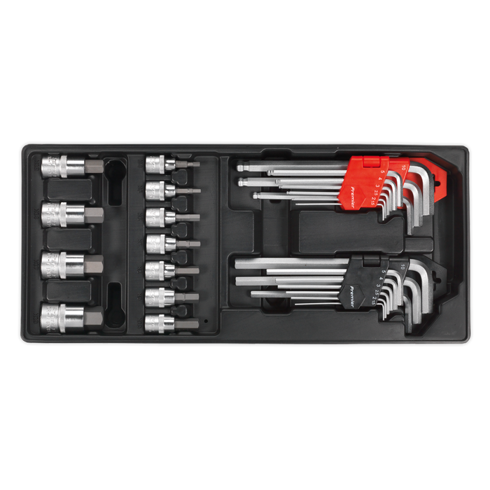 Premier Hex/Ball-End Hex Key & Socket Bit Set with Tool Tray 29pc | TBT07