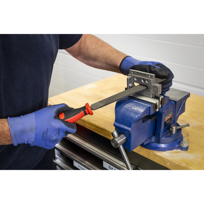 Premier Engineer’s File Set with Tool Tray 5pc | TBT09