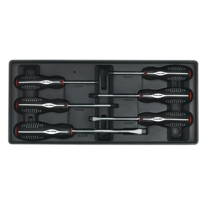 Premier Screwdriver Set with Tool Tray 6pc | TBT14