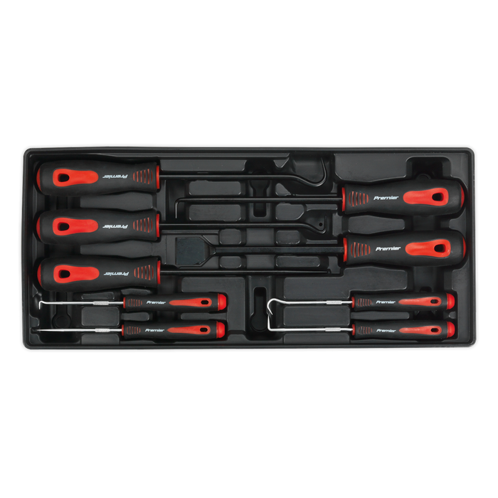 Premier Scraper & Hook Set with Tool Tray 9pc | TBT23