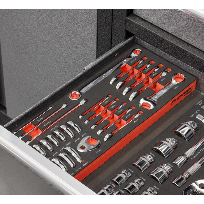 Premier Stubby Combination, TRX-Star* & Crow's Foot Spanner Set with Tool Tray 24pc | TBT50