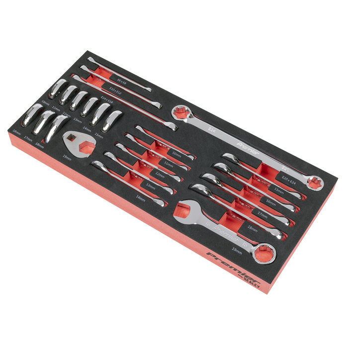 Premier Stubby Combination, TRX-Star* & Crow's Foot Spanner Set with Tool Tray 24pc | TBT50