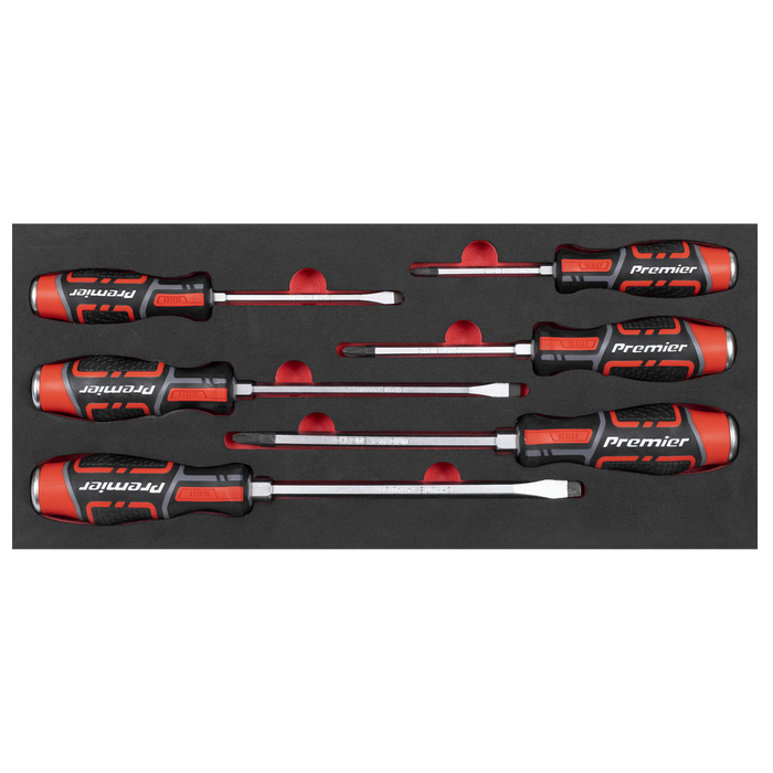 Premier Hammer-Thru Screwdriver Set with Tool Tray 6pc | TBT54