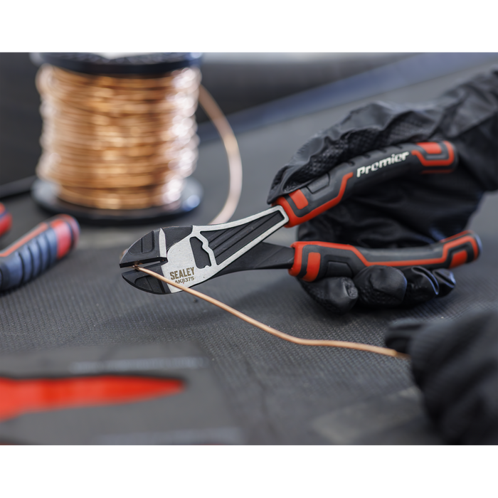 Premier Pliers Set with Tool Tray 4pc | TBT56