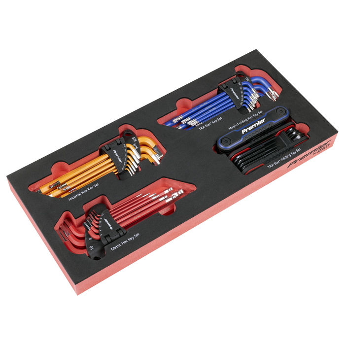 Premier Master Key Set with Tool Tray 43pc | TBT62