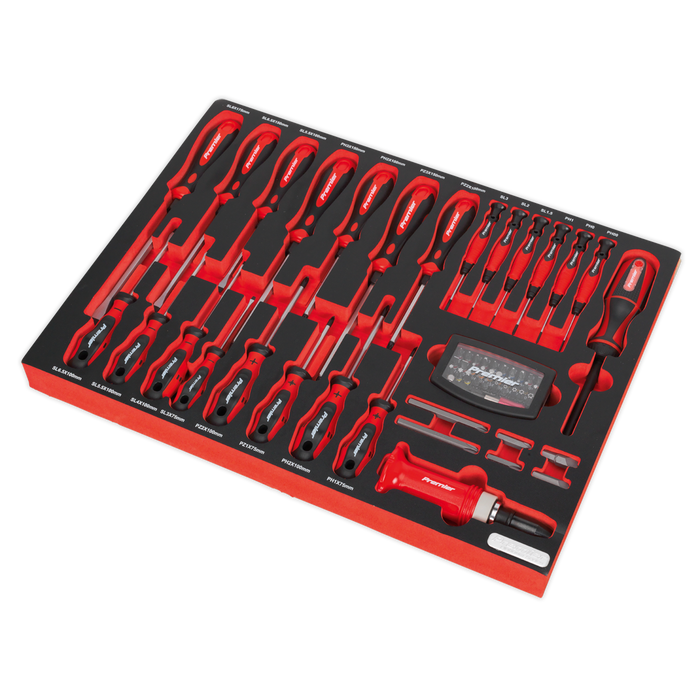 Premier Platinum Screwdriver Set with Tool Tray 72pc | TBTP04
