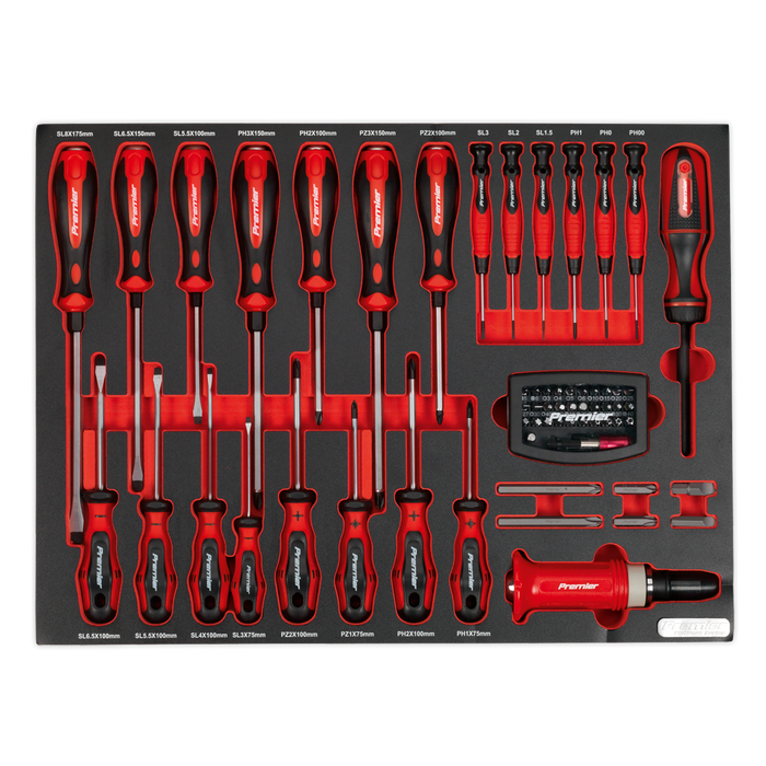 Premier Platinum Screwdriver Set with Tool Tray 72pc | TBTP04