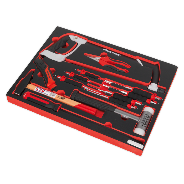 Premier Platinum Hacksaw, Hammers & Punch Kit with Tool Tray 13pc | TBTP06EU