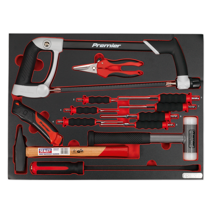 Premier Platinum Hacksaw, Hammers & Punch Kit with Tool Tray 13pc | TBTP06EU
