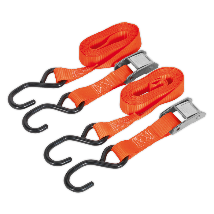 Cam Buckle Strap Polyester Webbing with S-Hooks 25mm x 2.5m 500kg Breaking Strength | TD05025CS