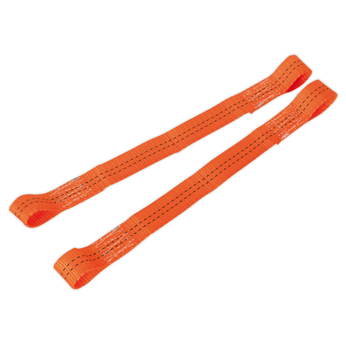 Tie Down Securing Loop - Pair | TDL01