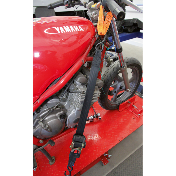 Tie Down Securing Loop - Pair | TDL01