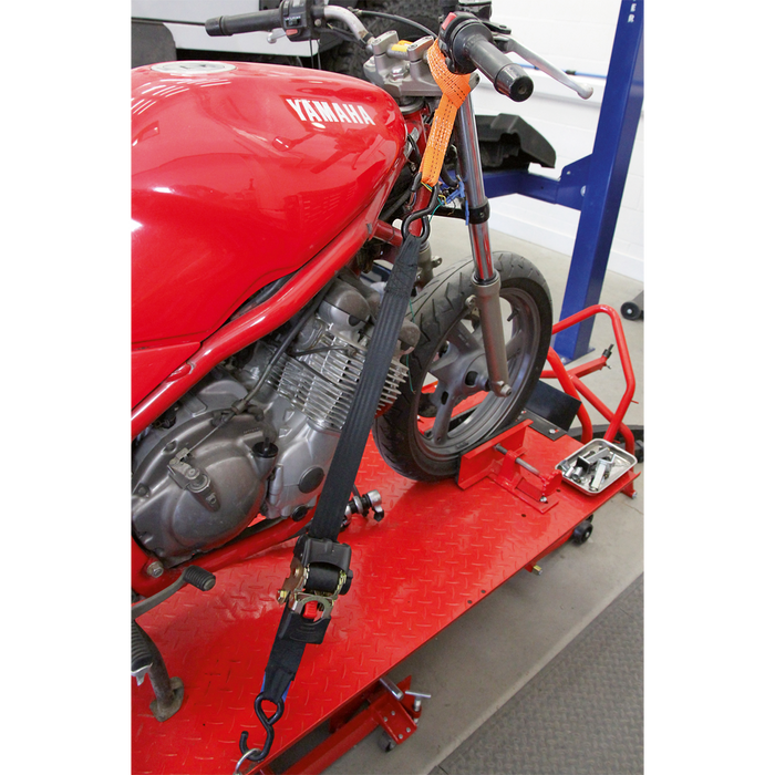Tie Down Securing Loop - Pair | TDL01
