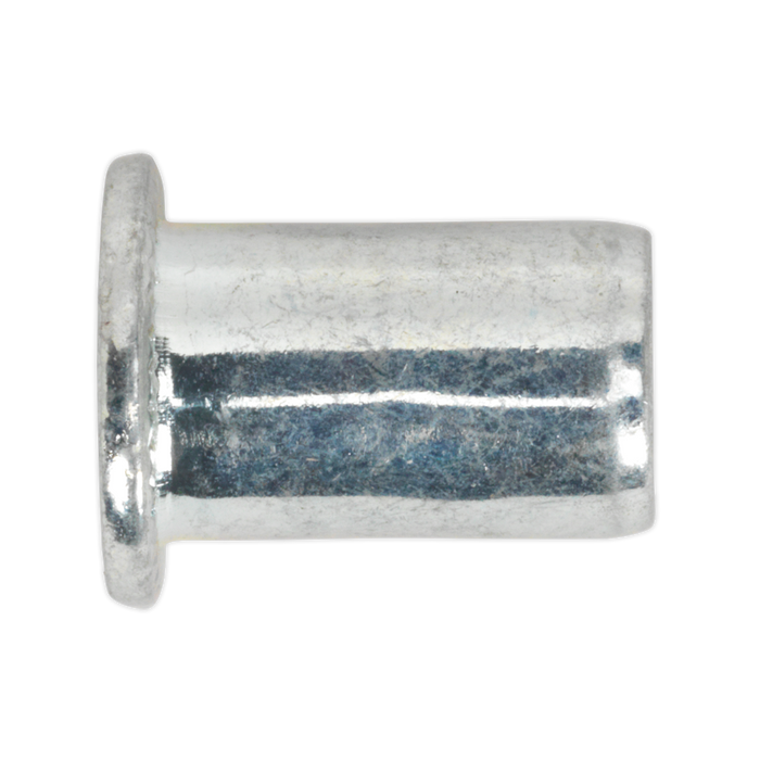 Regular Threaded Insert (Rivet Nut) M10 - Pack of 50 | TIRM10