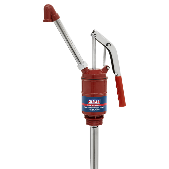 Heavy-Duty High Flow Lever Pump | TP6801