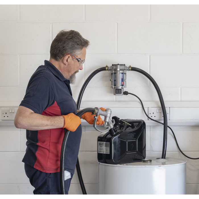 Portable Diesel/Fluid Transfer Pump 24V | TP9624