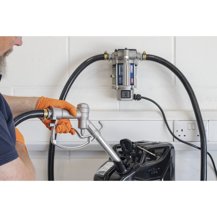 Portable Diesel/Fluid Transfer Pump 24V | TP9624