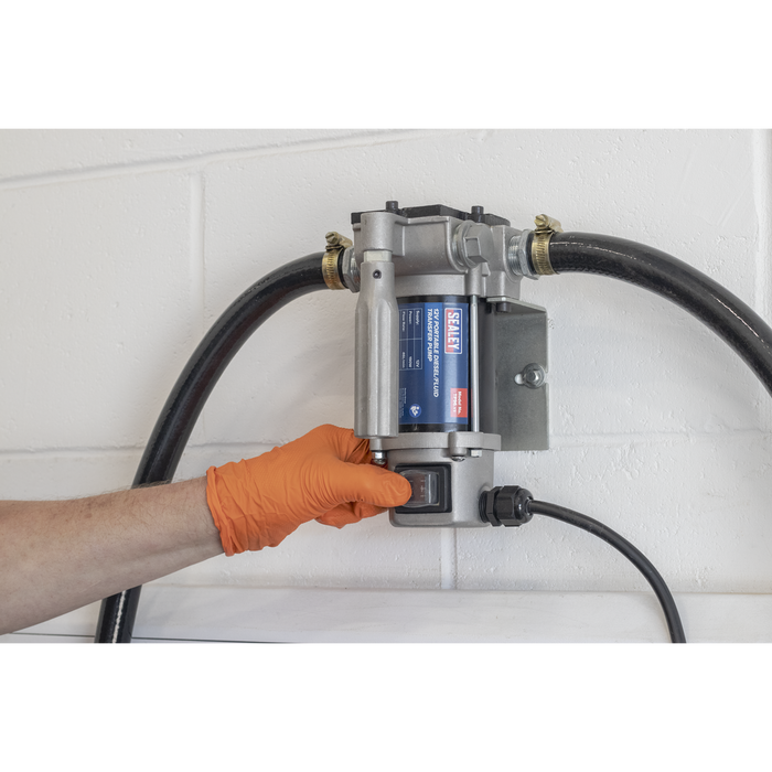 Portable Diesel/Fluid Transfer Pump 24V | TP9624