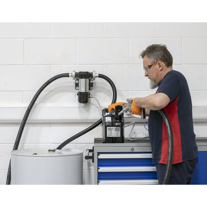 High Volume Diesel & Fluid Transfer Pump 12V | TP98