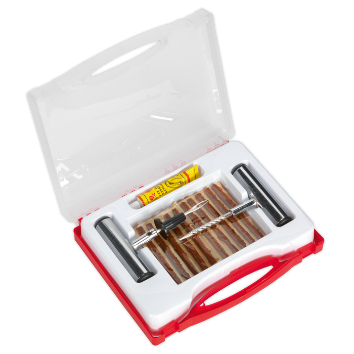 Temporary Puncture Repair Kit | TST10