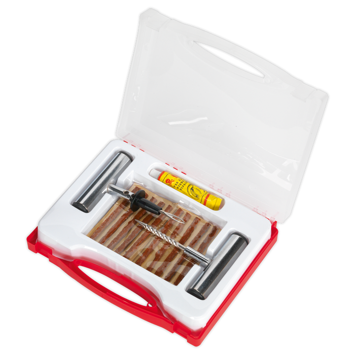 Temporary Puncture Repair Kit | TST10