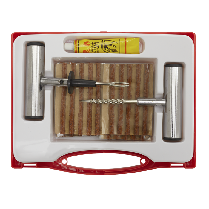 Temporary Puncture Repair Kit | TST10