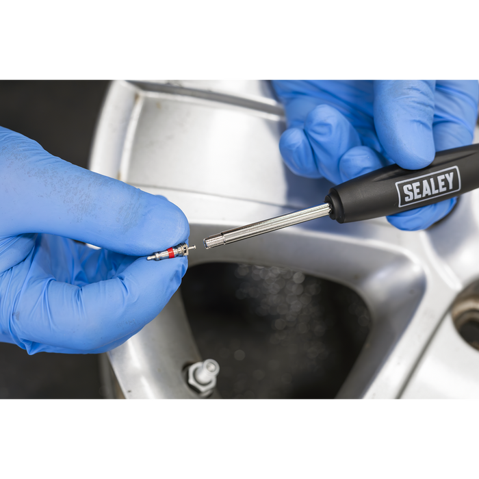Torque Limited Tyre Valve Tool | TST18