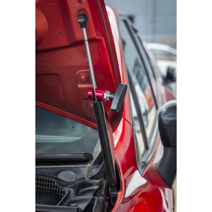 Bonnet Strut Clamp | VS0149