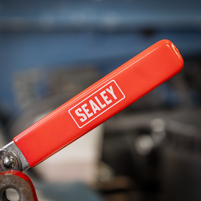 Ratchet Brake Piston Tool | VS0213