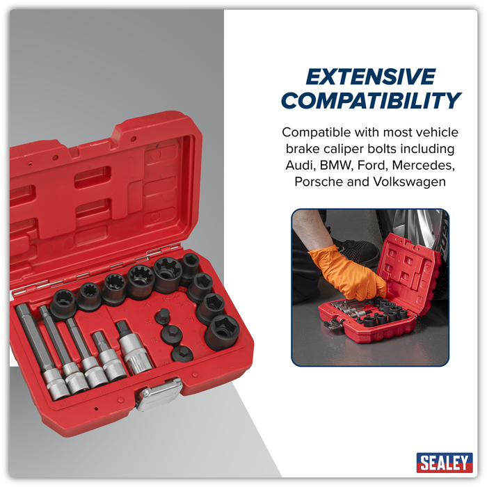 Brake Caliper Socket Set 17pc | VS0465