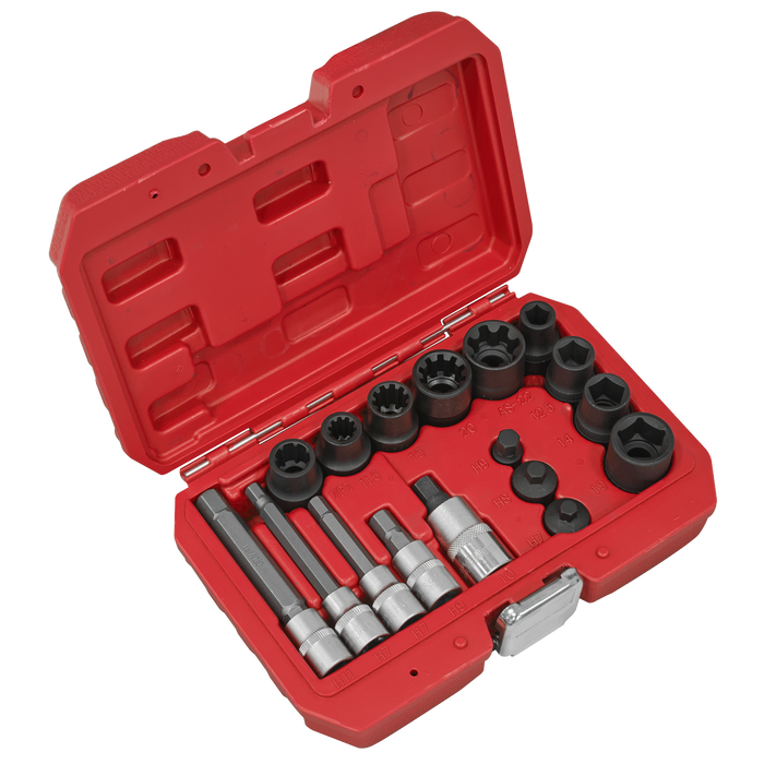 Brake Caliper Socket Set 17pc | VS0465
