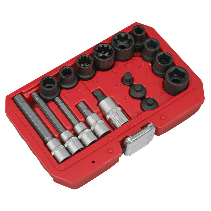 Brake Caliper Socket Set 17pc | VS0465