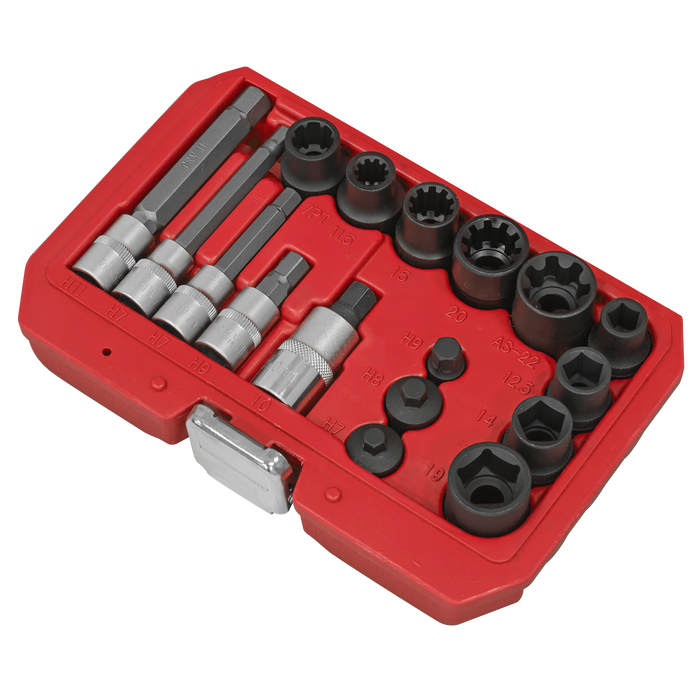 Brake Caliper Socket Set 17pc | VS0465