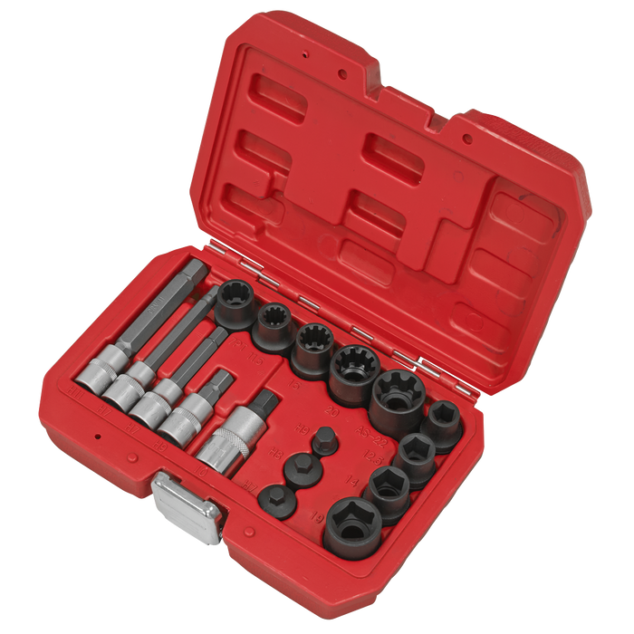 Brake Caliper Socket Set 17pc | VS0465