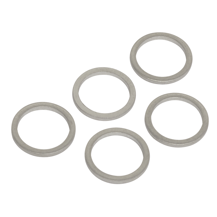 Sump Plug Washer M13 - Pack of 5 | VS13SPW