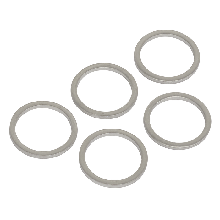 Sump Plug Washer M15 - Pack of 5 | VS15SPW