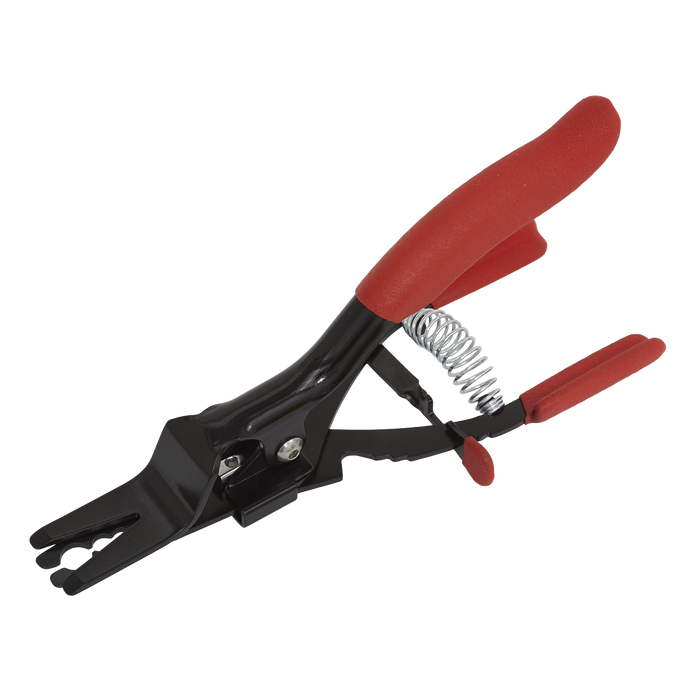 Hose Removal Pliers | VS1655