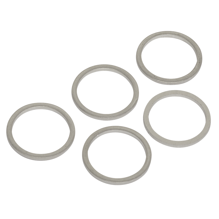 Sump Plug Washer M17 - Pack of 5 | VS17SPW