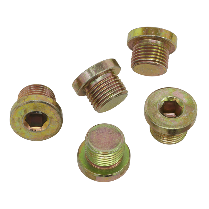 Sump Plug M17 - Pack of 5 | VS17SP