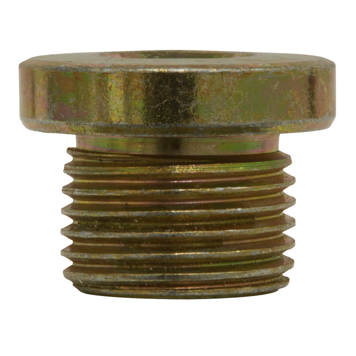 Sump Plug M17 - Pack of 5 | VS17SP