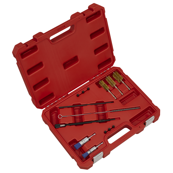 Injector Bore Cleaning Brush Set 14pc | VS1900