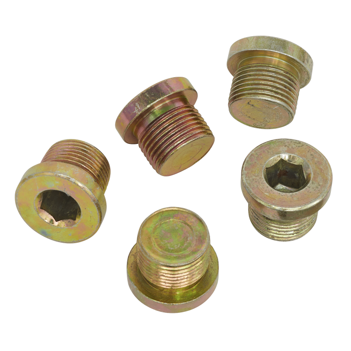 Sump Plug M20 - Pack of 5 | VS20SP