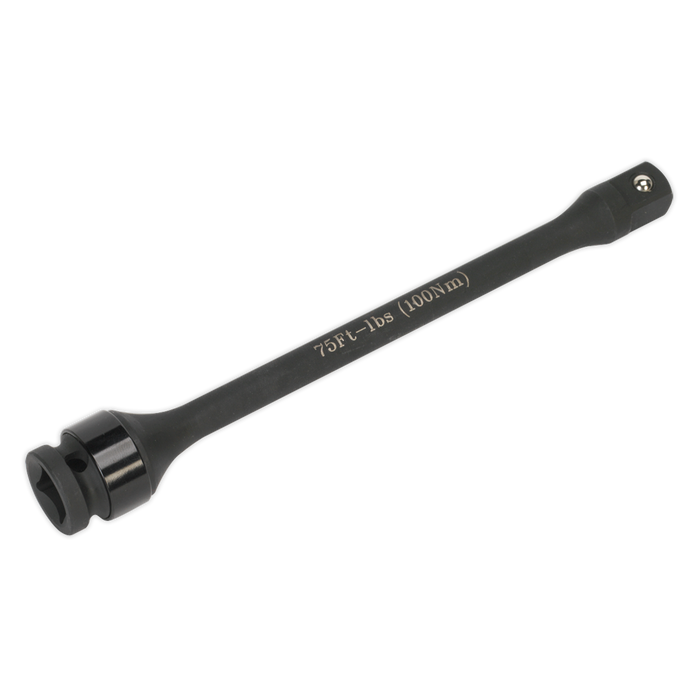 Torque Stick 1/2"Sq Drive 100Nm | VS2244