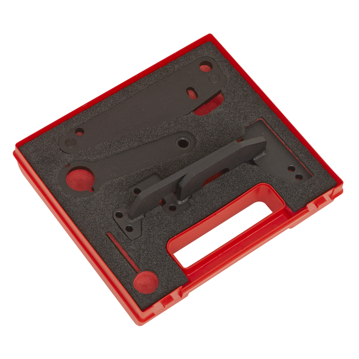 Petrol Engine Timing Tool for Dacia, Mercedes, Nissan, Renault 1.3 - Chain Drive | VS5260