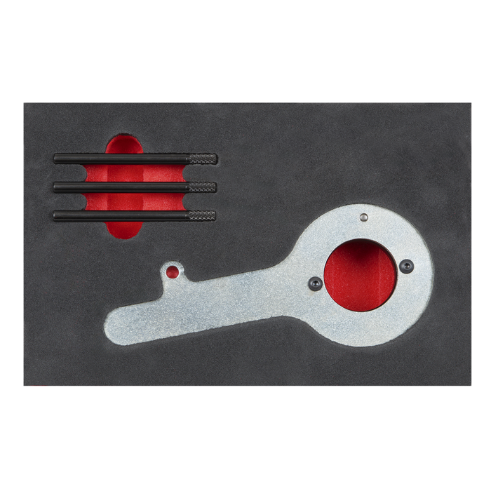 Diesel Engine Timing Tool Kit for Ford 2.0TDCi EcoBlue - Belt Drive | VS5285