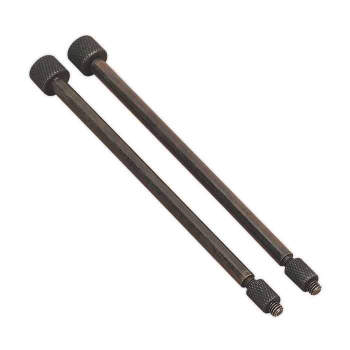 Door Hinge Removal Pin 3 x 110mm - Pack of 2 | VS803/01
